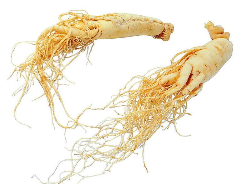 ginseng root to boost